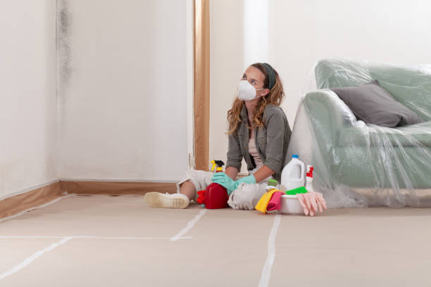 Reliable Attic Mold Removal contractor in Nutley, NJ by WQB Mold Removal